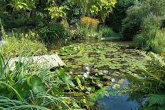 IMG-20210923-WA0008