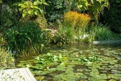 IMG-20210923-WA0012