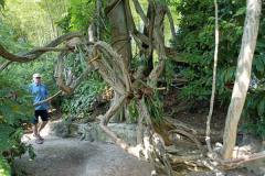 IMG-20210923-WA0014