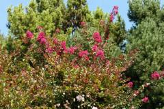IMG-20210923-WA0021
