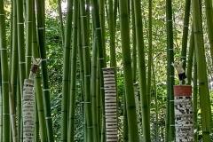 IMG-20210923-WA0022