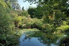 IMG-20210923-WA0031