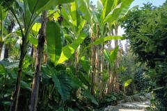 IMG-20210923-WA0033