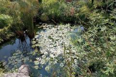 IMG-20210923-WA0036