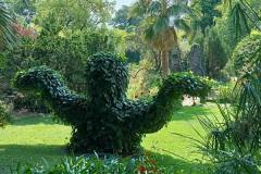 IMG-20210923-WA0038