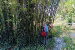 IMG-20210923-WA0039