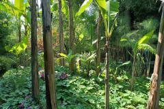 IMG-20210923-WA0043