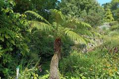 IMG-20210923-WA0044