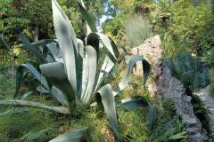 IMG-20210923-WA0045