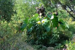 IMG-20210923-WA0047