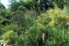 IMG-20210923-WA0048