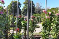 IMG-20220407-WA0000