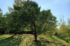 IMG-20220407-WA0004
