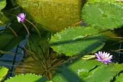 IMG-20220407-WA0009