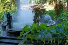 IMG-20220407-WA0011