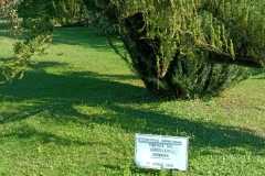 IMG-20220407-WA0012