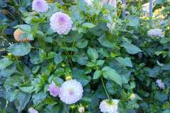 IMG-20220407-WA0013