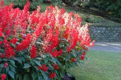 IMG-20220407-WA0014