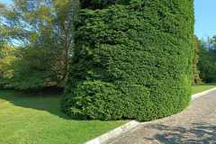 IMG-20220407-WA0016