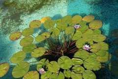 IMG-20220407-WA0017