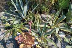 IMG-20220407-WA0020