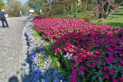 IMG-20220407-WA0021