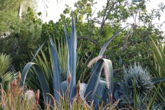 20191106_090208